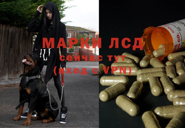 a pvp Белокуриха